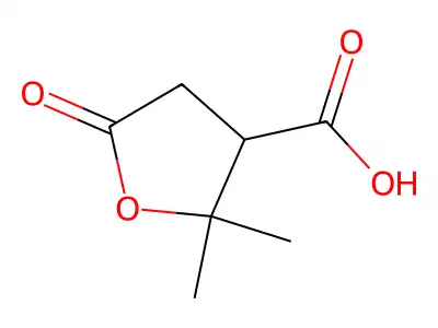 Terebic acid structure