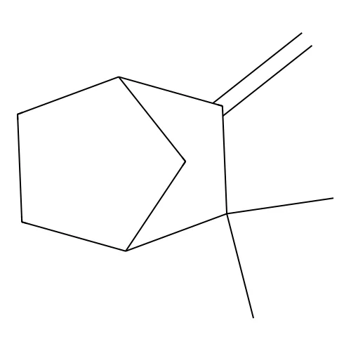 Camphene structure
