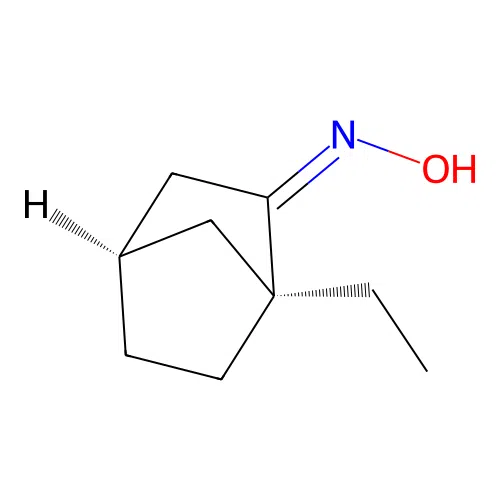 N-[(1S,4R)-1-ethyl-2-bicyclo[2.2.1]heptanylidene]hydroxylamine structure