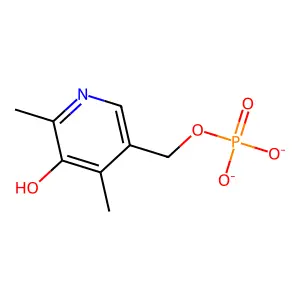 Vitamin B6 structure