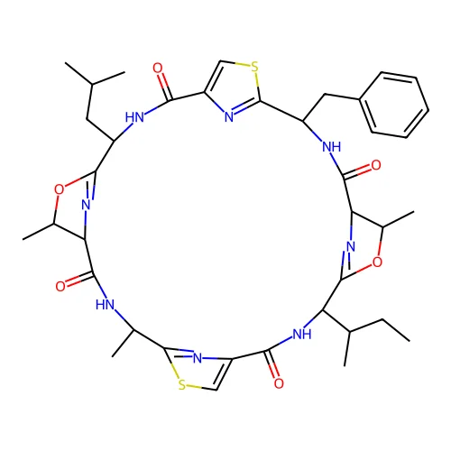 Patellamide B structure