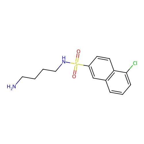 N-(4-Aminobutyl)-5-chloro-2-naphthalenesulfonamide structure
