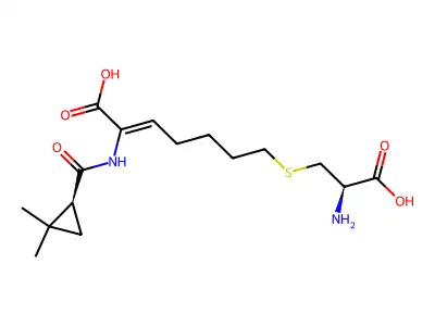 Cilastatin structure