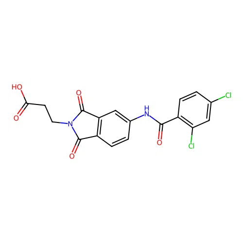 3-(5-(2,4-dichlorobenzamido)-1,3-dioxoisoindolin-2-yl)propanoic acid structure