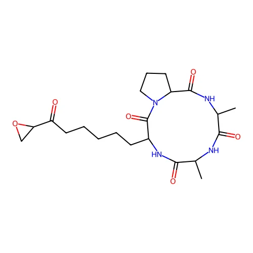 HC Toxin structure