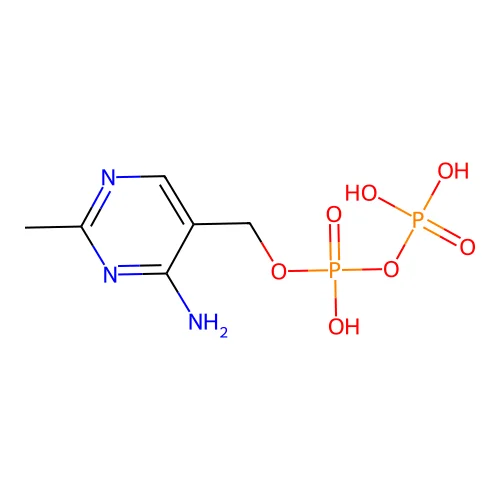 (4-Amino-2-methylpyrimidin-5-yl)methyl trihydrogen diphosphate structure