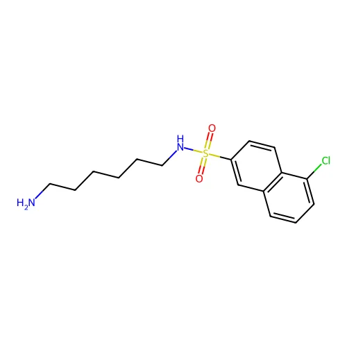 N-(6-Aminohexyl)-5-chloronaphthalene-2-sulfonamide structure