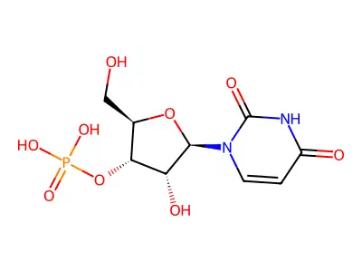 3'-Uridylic acid structure