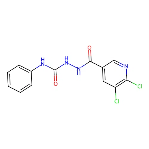 5,6-dichloro-N-[(phenylcarbamoyl)amino]pyridine-3-carboxamide structure