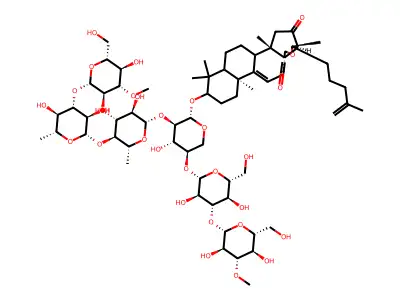 Holotoxin A1 structure