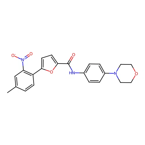 5-(4-methyl-2-nitrophenyl)-N-[4-(morpholin-4-yl)phenyl]furan-2-carboxamide structure