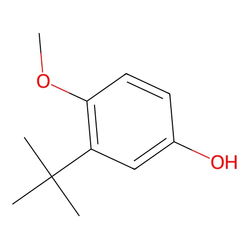 2-tert-Butyl-4-hydroxyanisole structure