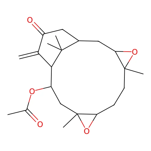 Hypoestoxide, Hypoestes rosea structure