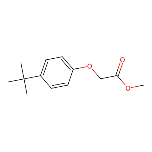 Methyl (p-tert-butylphenoxy)acetate structure