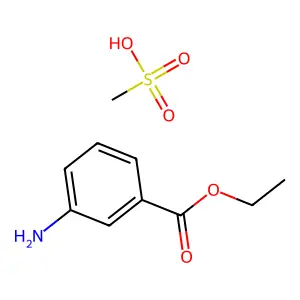 Metacaine structure
