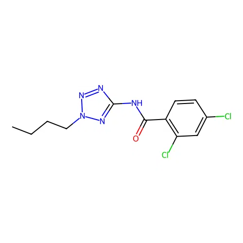 N-(2-butyl-2H-tetrazol-5-yl)-2,4-dichlorobenzamide structure