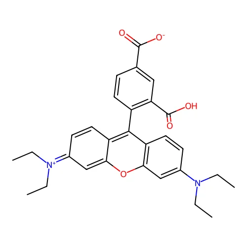 xanthylium, 9-(2,4-dicarboxyphenyl)-3,6-bis(diethylamino)-, inner salt structure