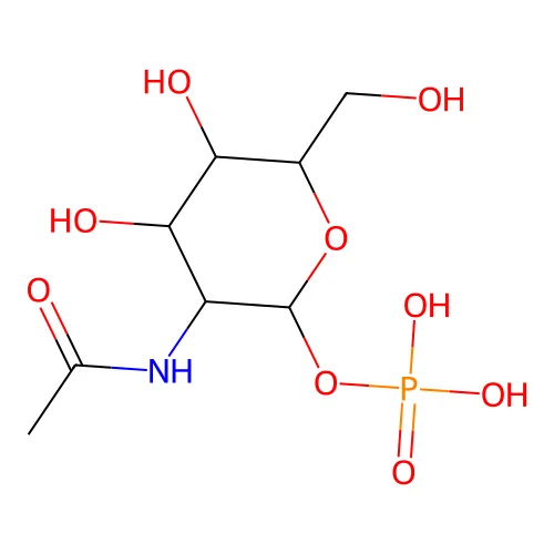 N-acetyl-D-hexosamine 1-phosphate structure