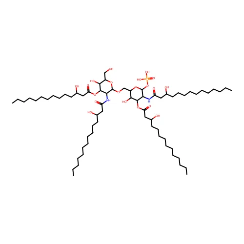 lipid A disaccharide structure