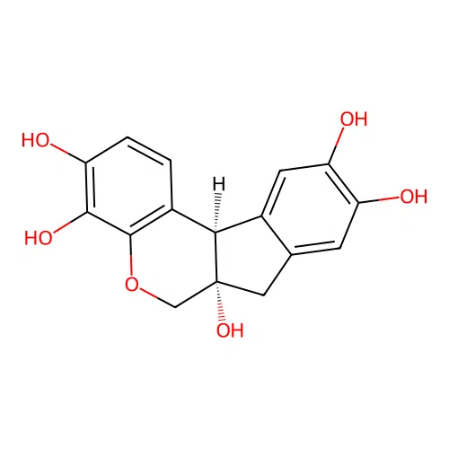 Hematoxylin
