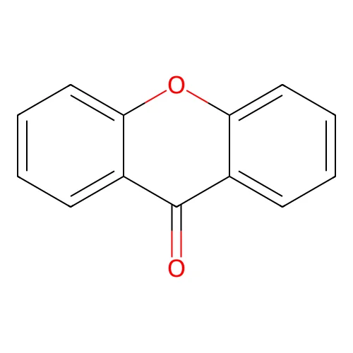 Xanthone structure