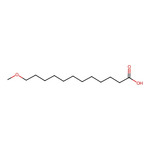 12-Methoxydodecanoate structure