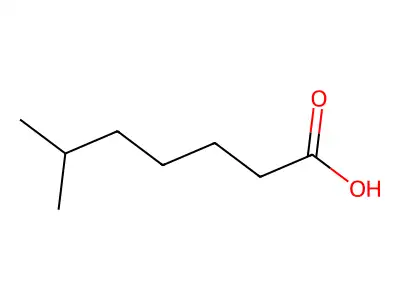 Isooctanoic acid structure