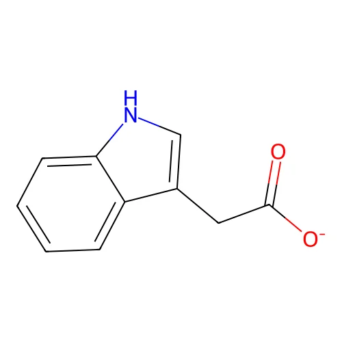 Indole-3-acetate structure