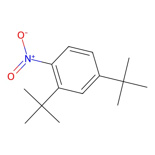 2,4-Ditert-butyl-1-nitrobenzene structure