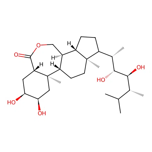Cholestan-6-one derivative structure