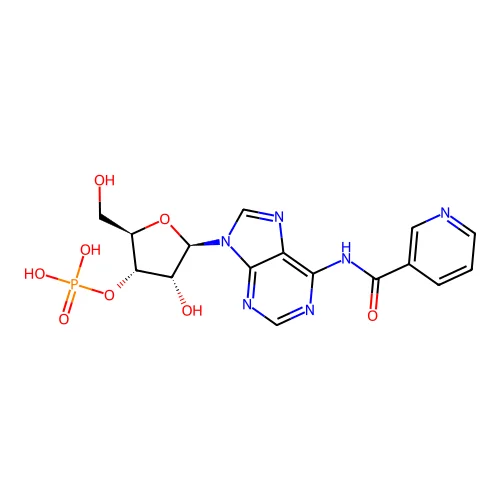 Niacinamide adenylate structure