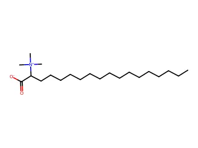 2-(Trimethylammonio)octadecanoate structure