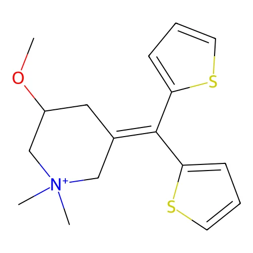 Timepidium structure