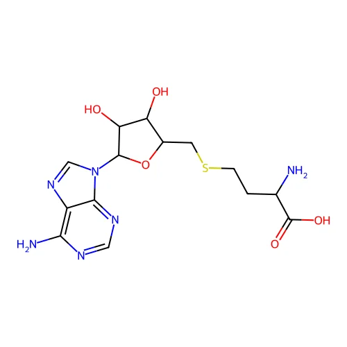 S-adenosyl-dl-homocysteine structure