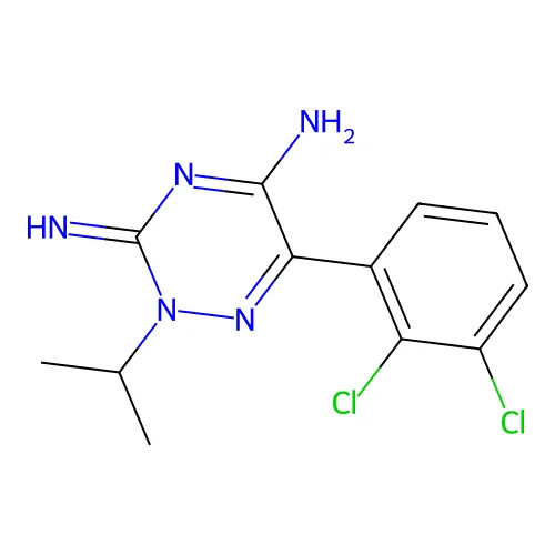 Palatrigine structure