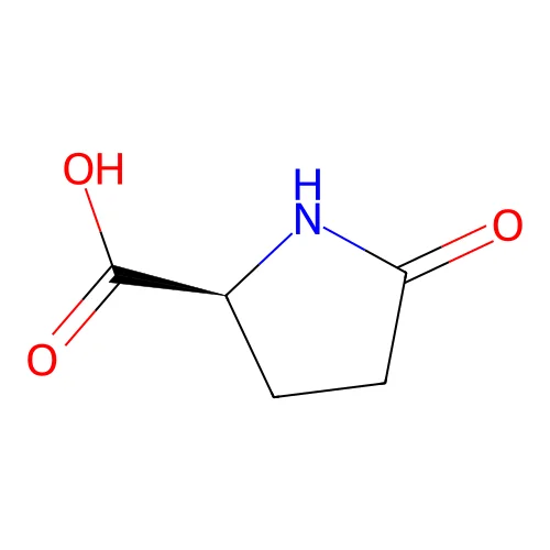 L-Pyroglutamic Acid structure