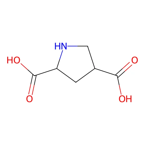 Pyrrolidine-2,4-dicarboxylic acid structure